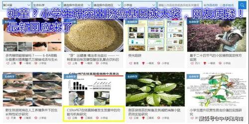 云南小学爆料最新消息,揭秘校园内幕，真相令人震惊！